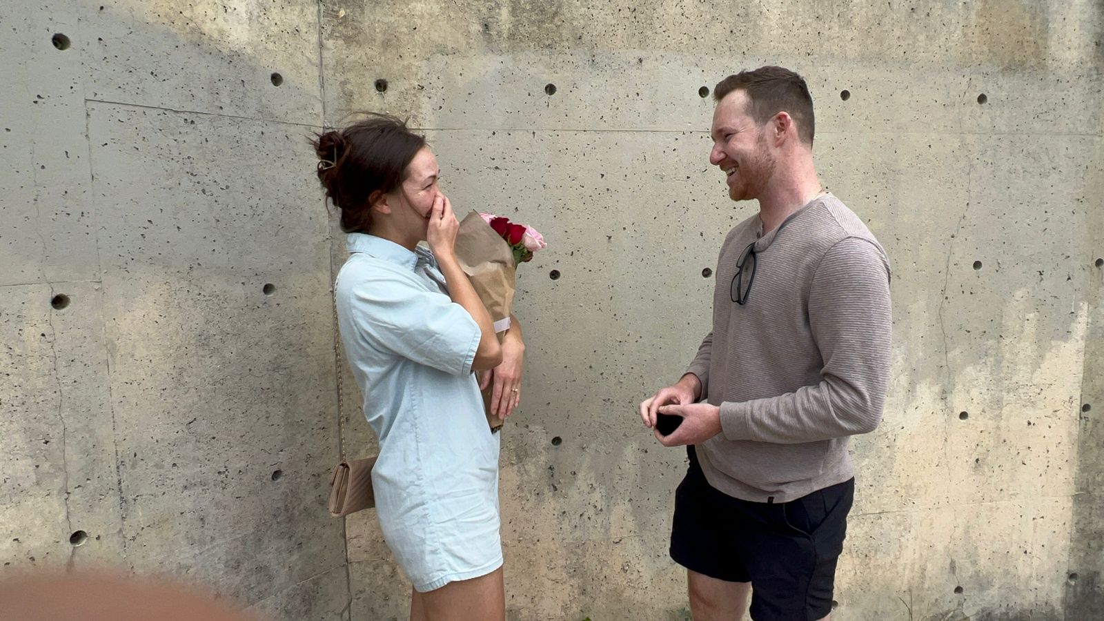 The proposal, seen from afar